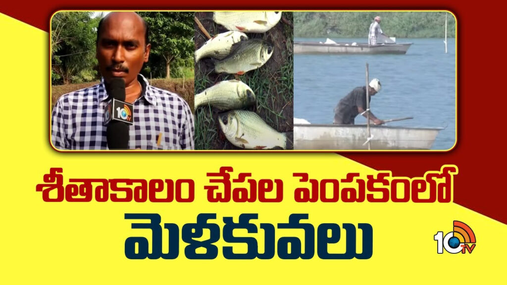 Fish Farming In Winter Season Telugu