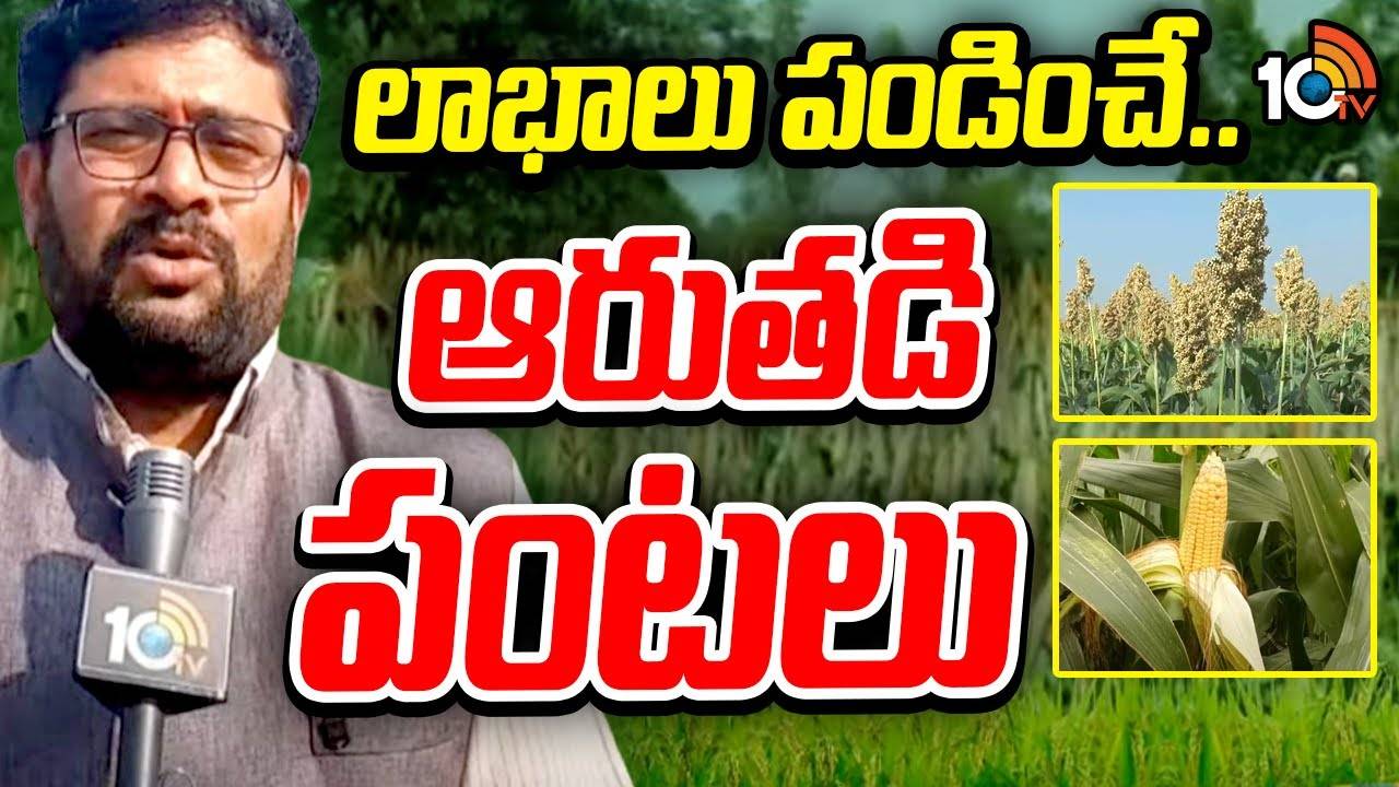 Dry Crops : ప్రారంభమైన యాసంగి ఆరుతడి పంటల సాగు Dry Crops : ప్రారంభమైన యాసంగి ఆరుతడి పంటల సాగు