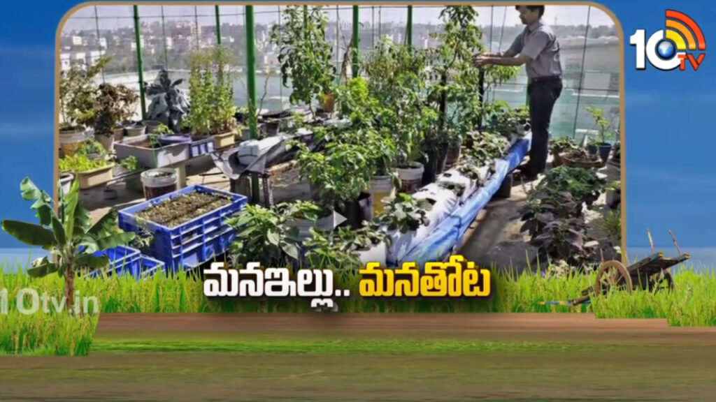 Home Agriculture