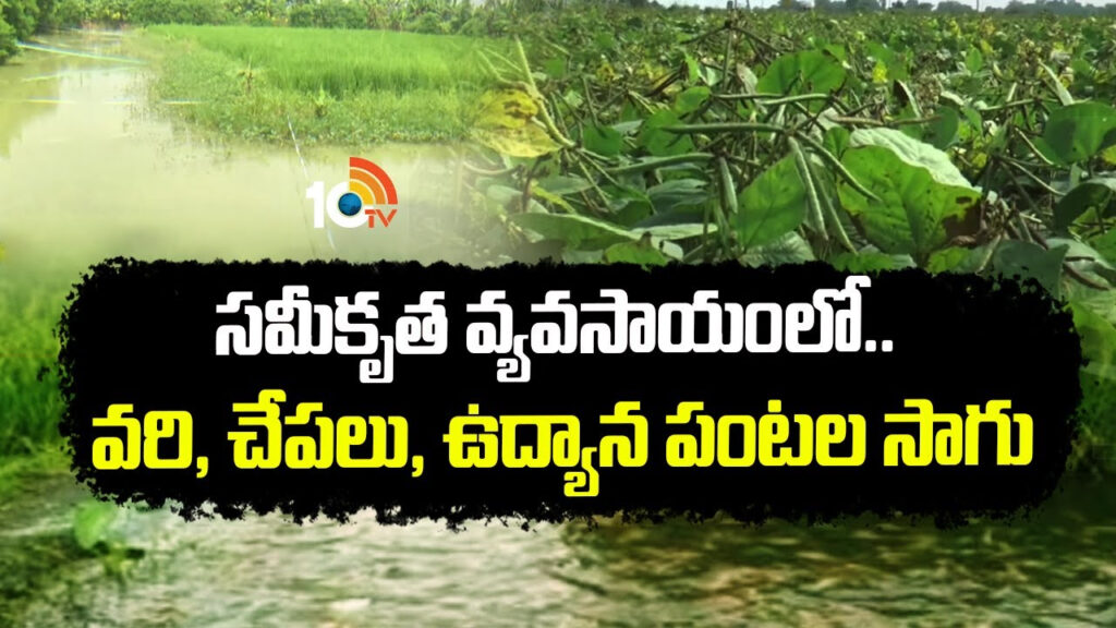 Integrated Farming and Cultivation Techniques in Telugu