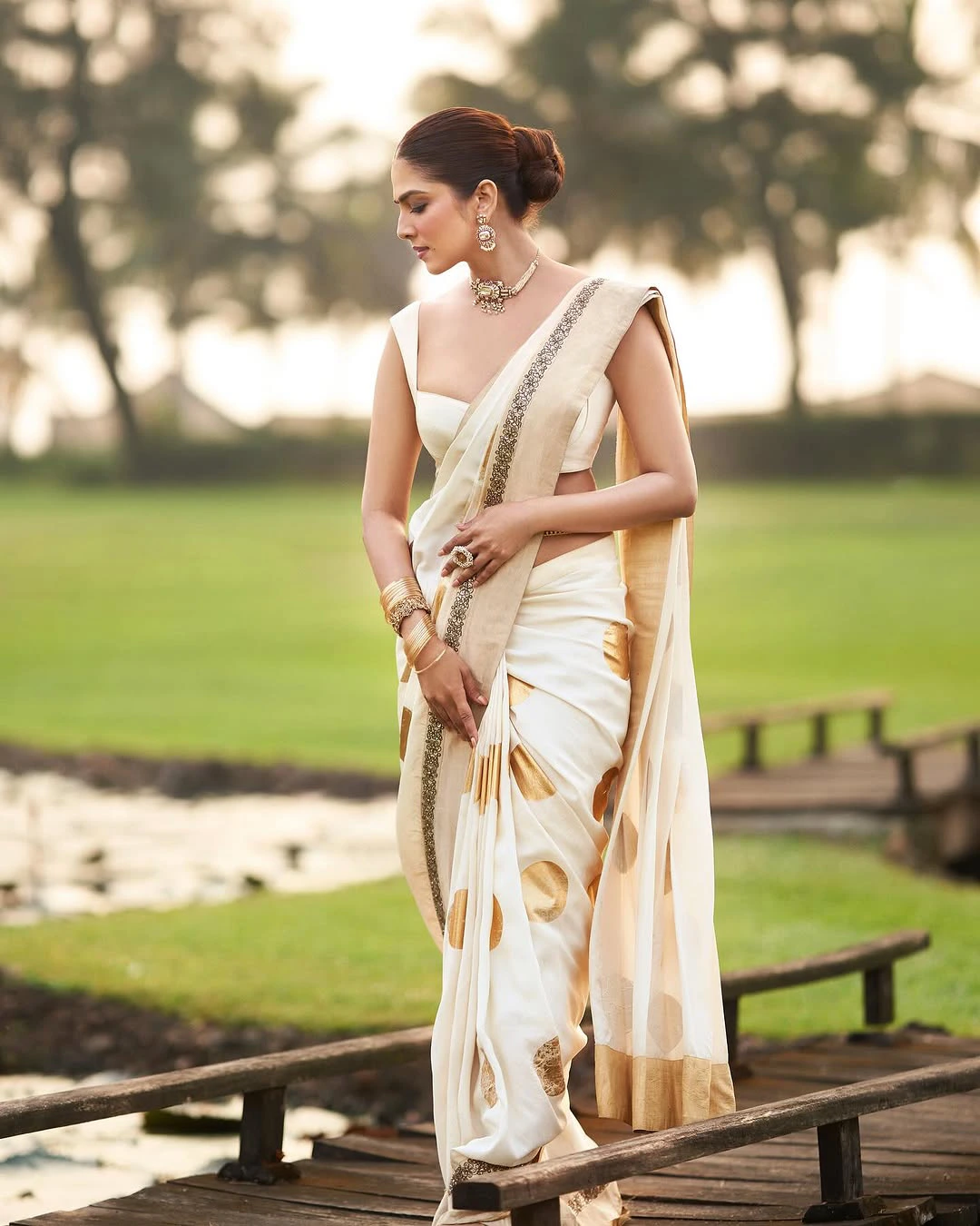 Malavika Mohanan Mesmerizing Looks in Saree