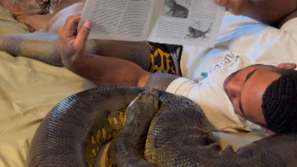 Man with anaconda