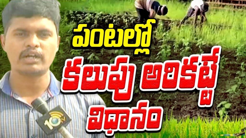 Method of controlling weeds in crops