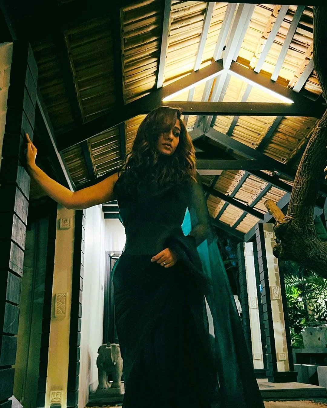 Nayanthara Shines in Saree