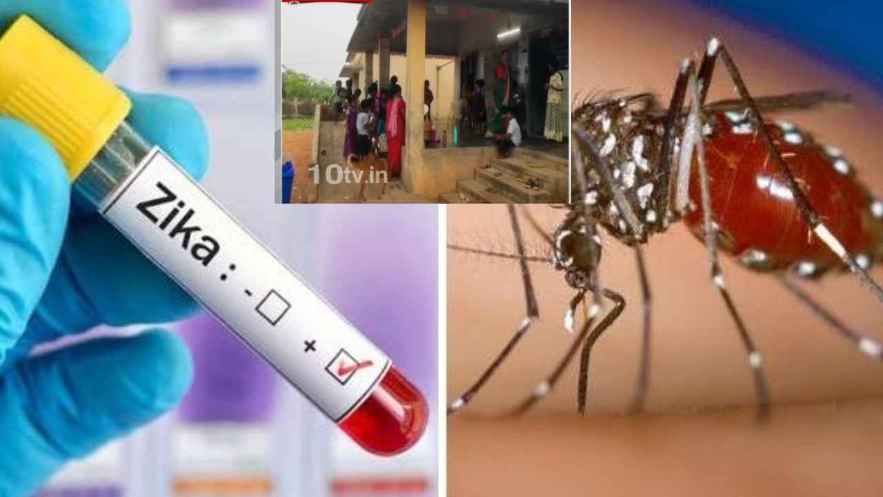 Nellore Zika Virus : నెల్లూరు జిల్లాలో భయం భయం.. కలకలం రేపిన జికా వైరస్..! Nellore Zika Virus : నెల్లూరు జిల్లాలో భయం భయం.. కలకలం రేపిన జికా వైరస్..!