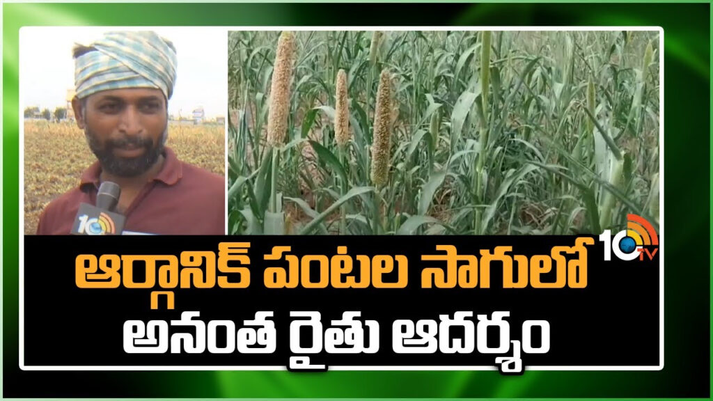 Organic Cultivation