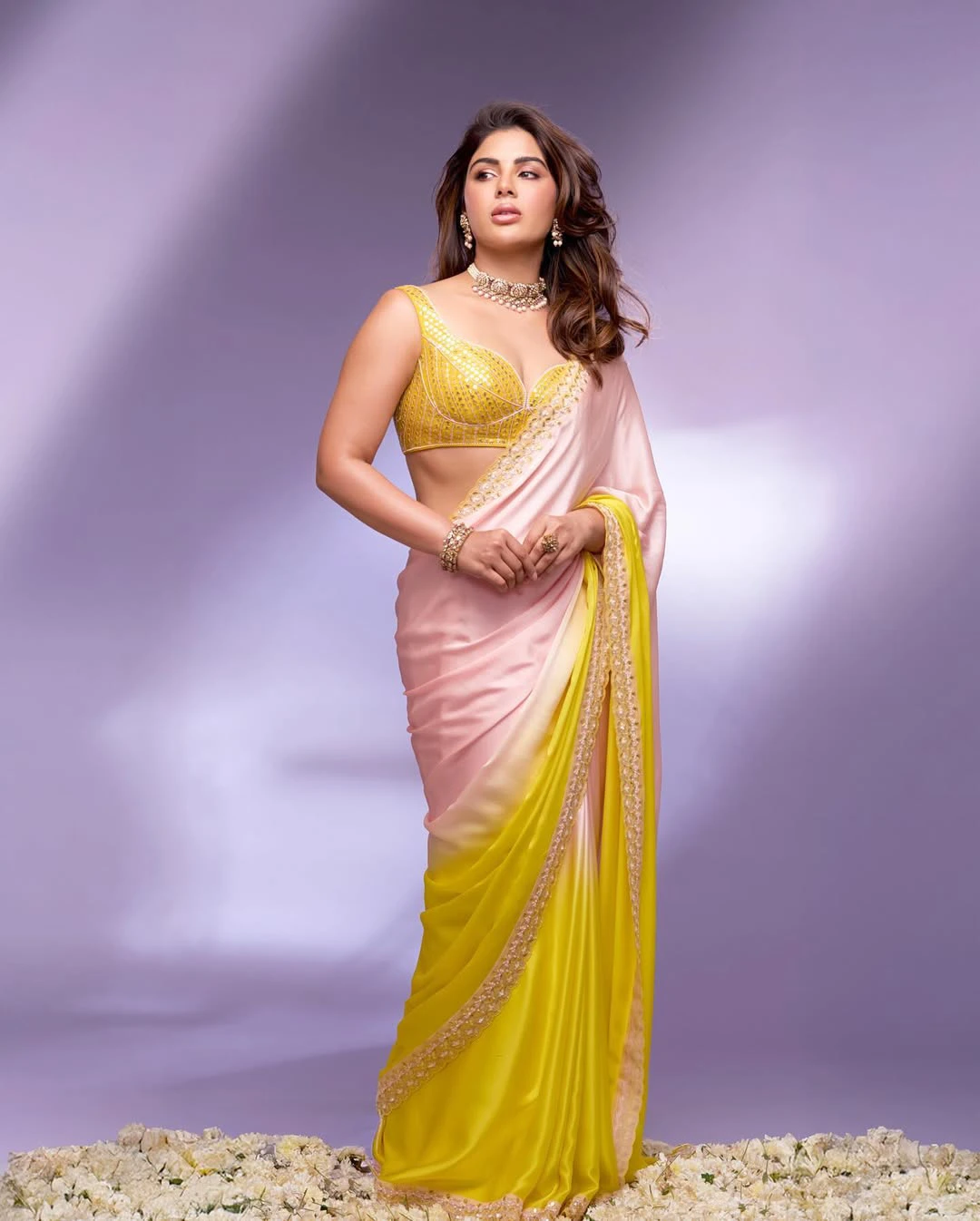 Samyuktha Stunning Looks in Saree