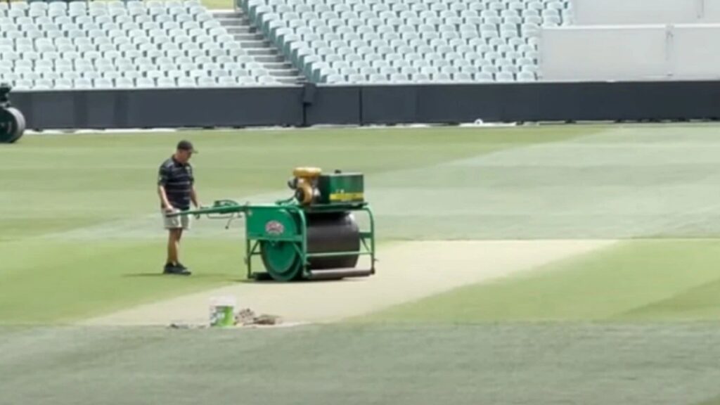 Six millimeter grass on Adelaide pitch said pitch chief curator Damian Hough
