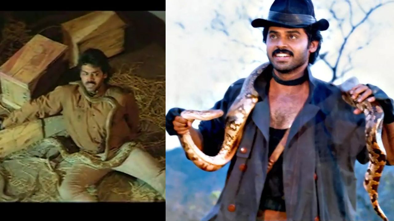 Bobbili Raja : వంద పాములతో ఆ సీన్ చేశాను.. బొబ్బిలిరాజా సినిమా గురించి బాలయ్య షోలో వెంకటేష్ కామెంట్స్.. Bobbili Raja : వంద పాములతో ఆ సీన్ చేశాను.. బొబ్బిలిరాజా సినిమా గురించి బాలయ్య షోలో వెంకటేష్ కామెంట్స్..