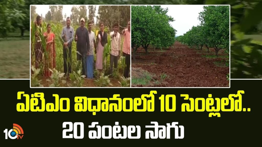 ATM Cultivation
