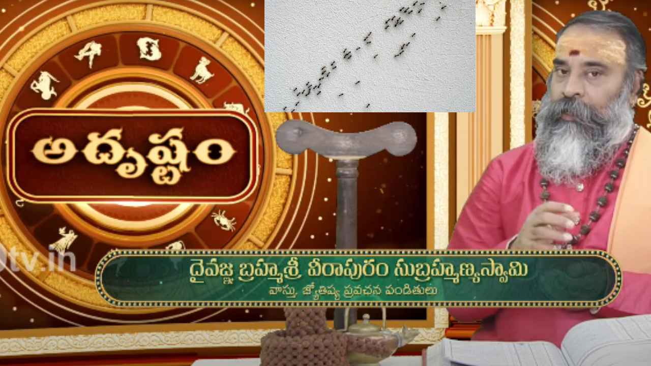 Adrustam Black Ants : ఇంట్లో నల్ల చీమలు తిరిగితే ధనవంతులు అవుతారా? వాస్తు శాస్త్రం ఏం చెబుతోంది.. Adrustam Black Ants : ఇంట్లో నల్ల చీమలు తిరిగితే ధనవంతులు అవుతారా? వాస్తు శాస్త్రం ఏం చెబుతోంది..