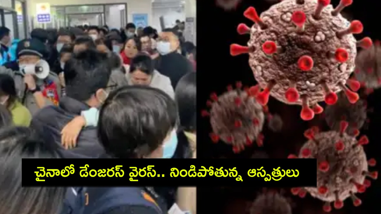 China HMPV Deadly Virus : కోవిడ్ తర్వాత ఐదేళ్లకు చైనాలో మరో డేంజరస్ వైరస్ విజృంభణ.. నిండిపోతున్న ఆస్పత్రులు..! China HMPV Deadly Virus : కోవిడ్ తర్వాత ఐదేళ్లకు చైనాలో మరో డేంజరస్ వైరస్ విజృంభణ.. నిండిపోతున్న ఆస్పత్రులు..!