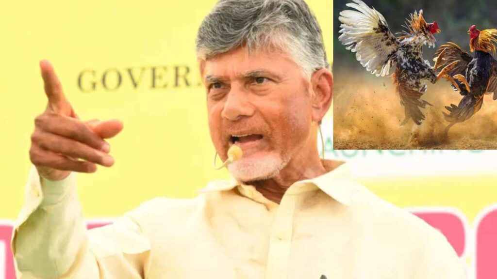 Cm Chandrababu On Cock Fights