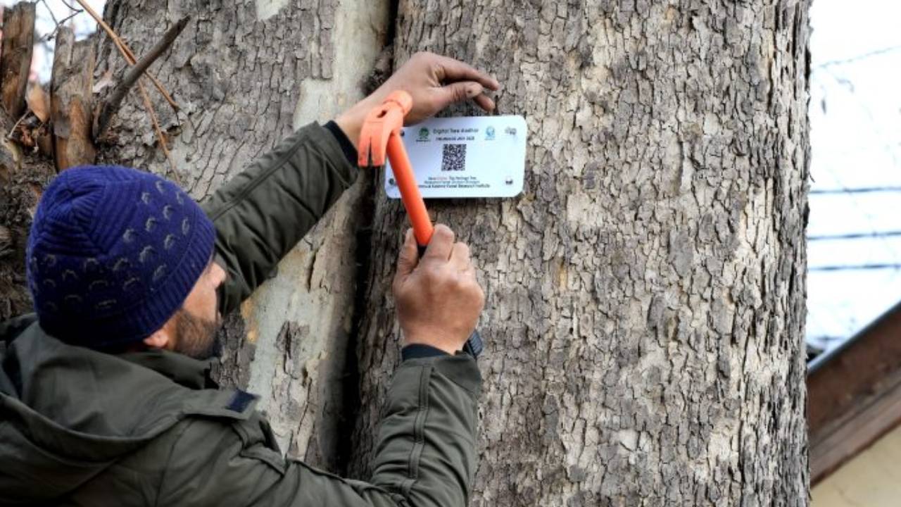 Digital Tree Aadhaar: ఆ చెట్లను కాపాడేందుకు ‘డిజిటల్ ట్రీ ఆధార్’ కార్యక్రమం.. ఎక్కడ.. ఎందుకో తెలుసా? Digital Tree Aadhaar: ఆ చెట్లను కాపాడేందుకు ‘డిజిటల్ ట్రీ ఆధార్’ కార్యక్రమం.. ఎక్కడ.. ఎందుకో తెలుసా?