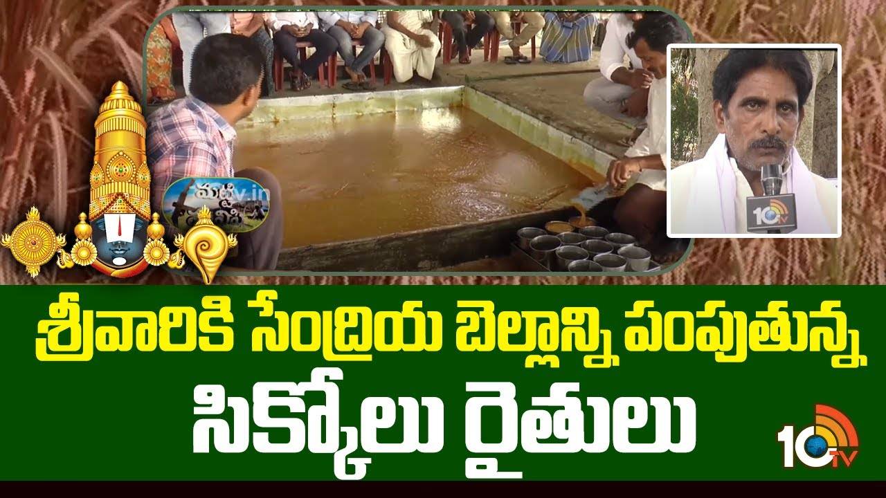 తిరుమల శ్రీవారి ప్రసాదానికి సిక్కోలు సేంద్రియ బెల్లం.. లాభాలే లాభాలంటున్న రైతులు తిరుమల శ్రీవారి ప్రసాదానికి సిక్కోలు సేంద్రియ బెల్లం.. లాభాలే లాభాలంటున్న రైతులు