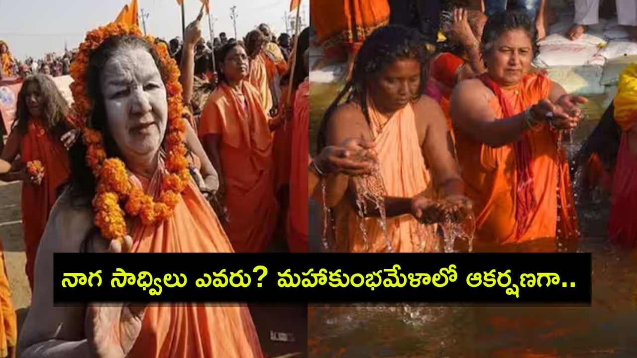 Maha Kumbh Mela 2025 : నాగ సాధ్విలు ఎవరు? మహా కుంభమేళా 2025 యోధుల గురించి అంతగా తెలియని 7 వాస్తవాలివే! Maha Kumbh Mela 2025 : నాగ సాధ్విలు ఎవరు? మహా కుంభమేళా 2025 యోధుల గురించి అంతగా తెలియని 7 వాస్తవాలివే!