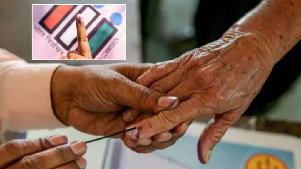 Graduate MLC Elections