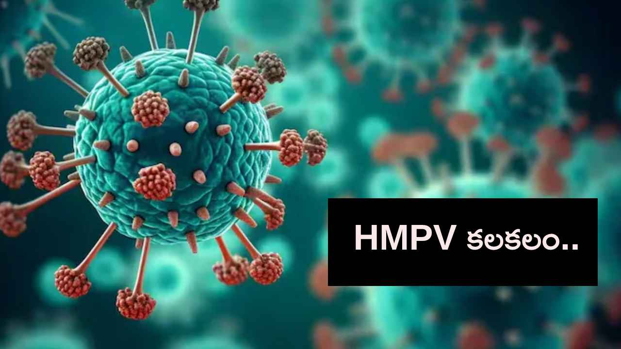 HMPV Cases : భారత్లో పెరుగుతున్న HMPV కేసులు.. 6 కి చేరిన సంఖ్య HMPV Cases : భారత్లో పెరుగుతున్న HMPV కేసులు.. 6 కి చేరిన సంఖ్య