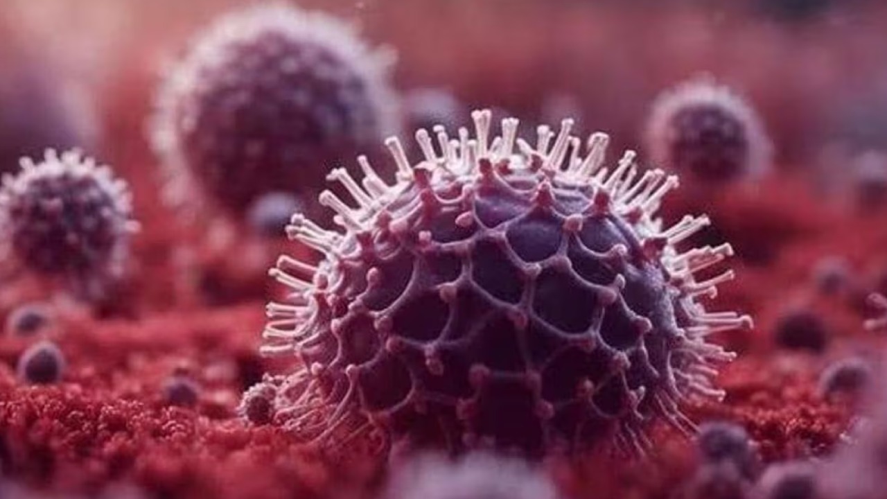 HMPV Outbreak  
