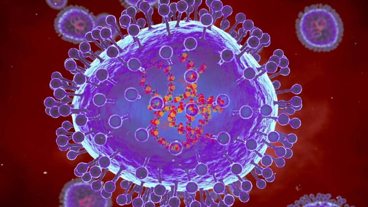 HMPV Virus : భారత్లో హెచ్ఎంపీవీ వైరస్ కలకలం.. బెంగళూరులో తొలికేసు నమోదు! HMPV Virus : భారత్లో హెచ్ఎంపీవీ వైరస్ కలకలం.. బెంగళూరులో తొలికేసు నమోదు!