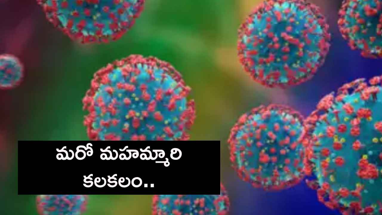 HMVP Virus : చైనాను వణికిస్తున్న మరో మహమ్మారి..! HMVP వైరస్ అంటే ఏమిటి? లక్షణాలు ఏంటి? HMVP Virus : చైనాను వణికిస్తున్న మరో మహమ్మారి..! HMVP వైరస్ అంటే ఏమిటి? లక్షణాలు ఏంటి?