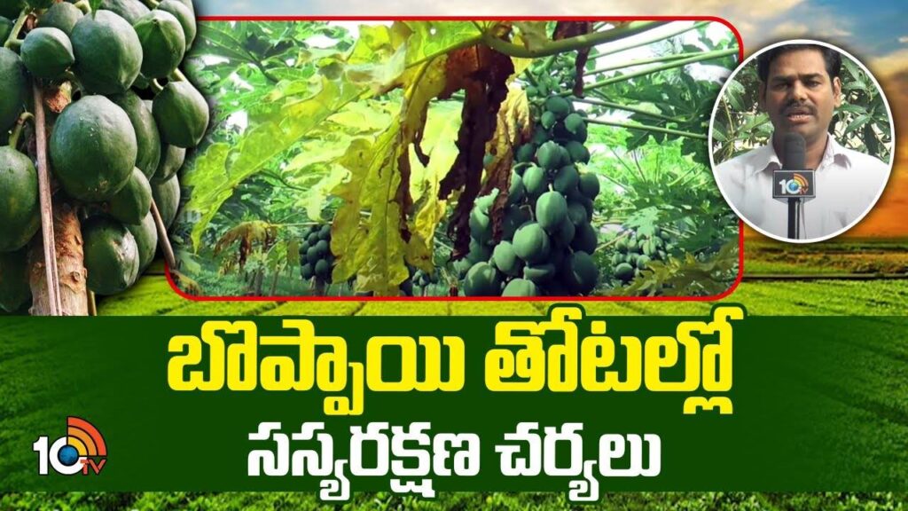 Integrated plant protection