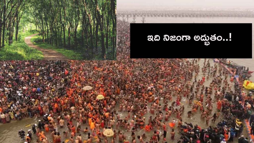 Maha Kumbh Mela 2025 Air Quality