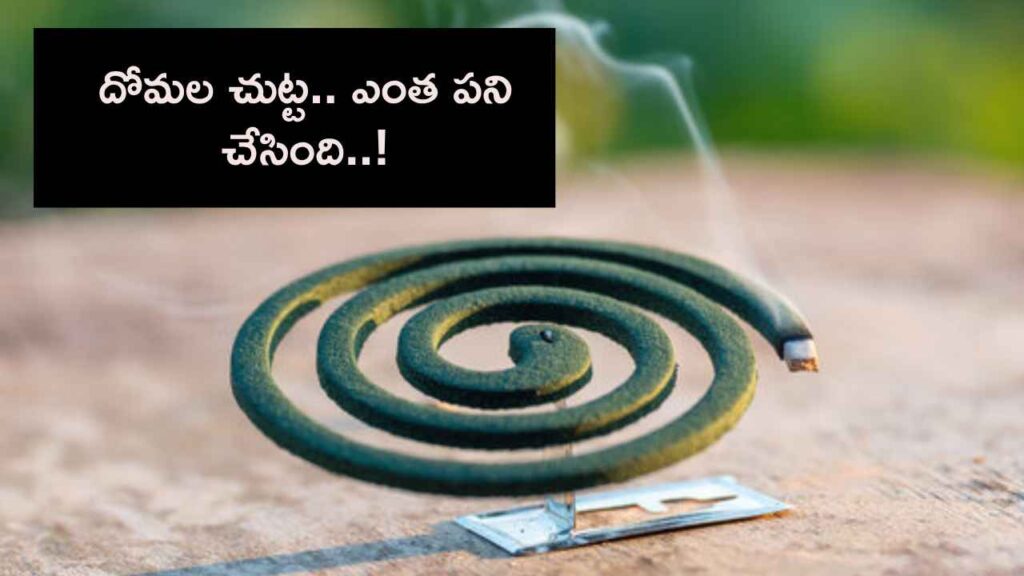 Mosquito Coil