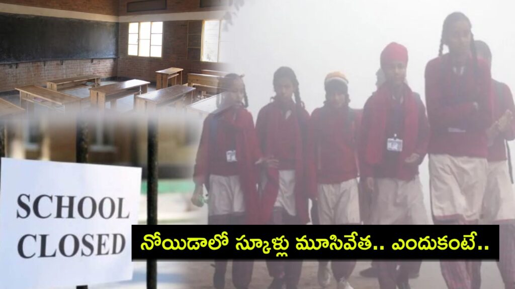 Noida Schools