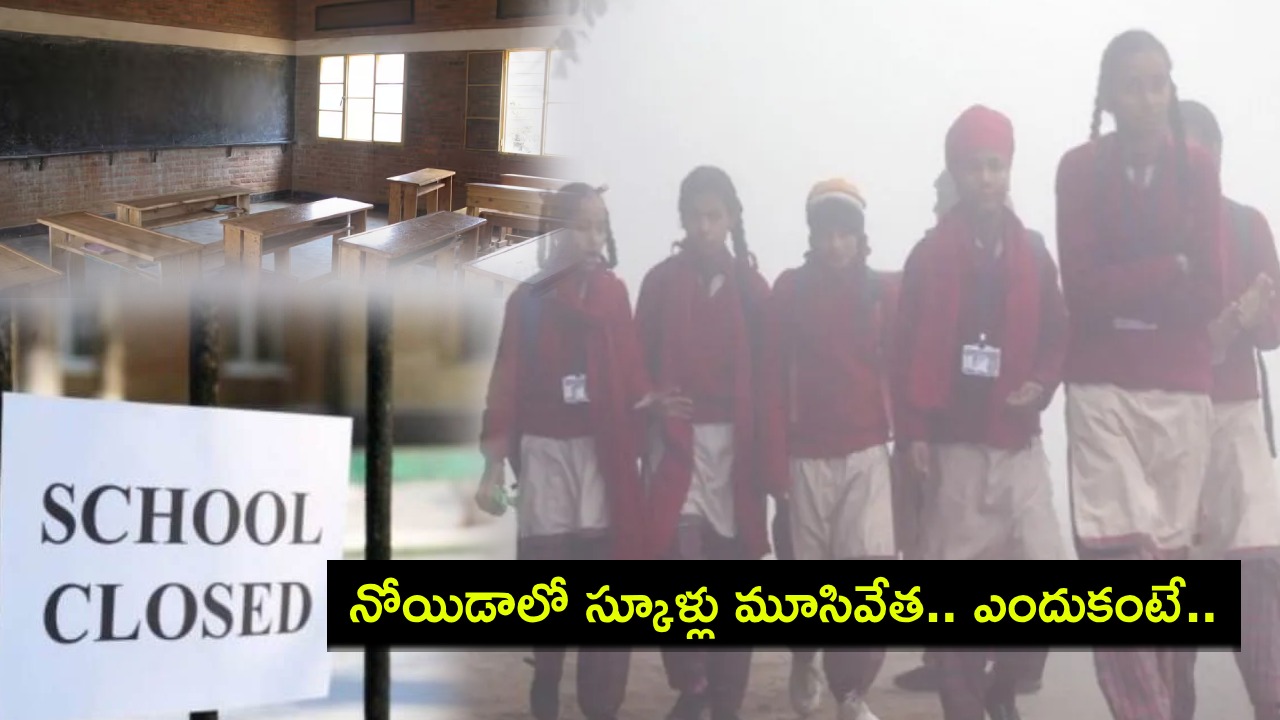Noida Schools : నోయిడాలో చలిగాలుల తీవ్రత.. ఈ నెల 3 నుంచి 8వ తరగతి వరకు స్కూళ్లు మూసివేత..! Noida Schools : నోయిడాలో చలిగాలుల తీవ్రత.. ఈ నెల 3 నుంచి 8వ తరగతి వరకు స్కూళ్లు మూసివేత..!