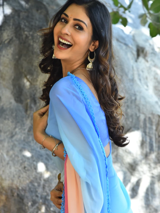 Payal Rajput Latest Photos in Saree