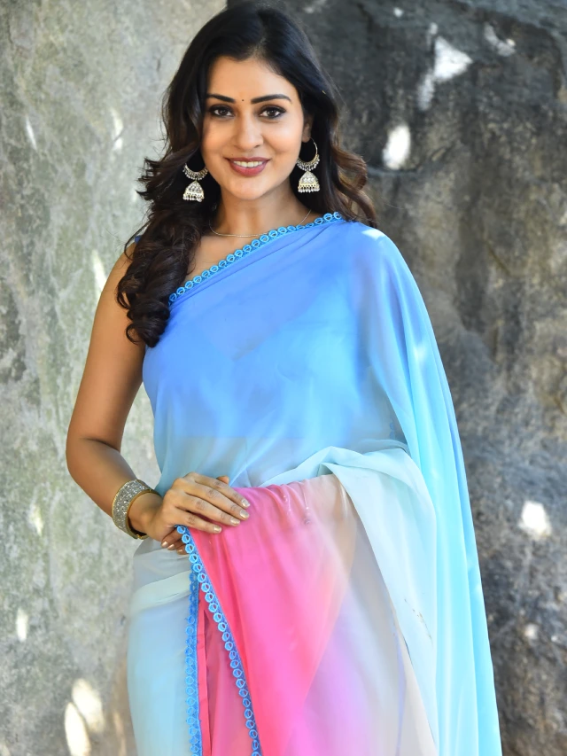 Payal Rajput Latest Photos in Saree