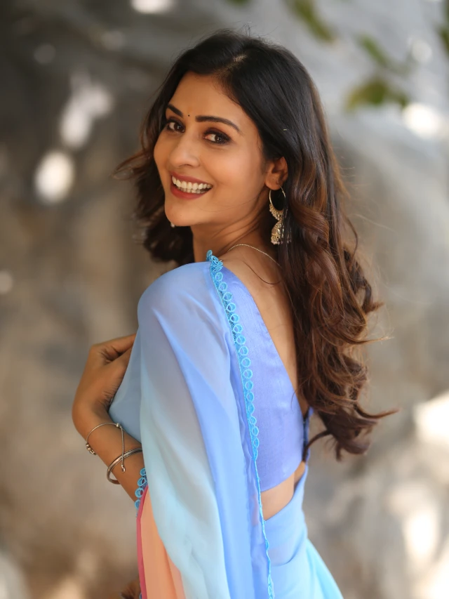 Payal Rajput Latest Photos in Saree