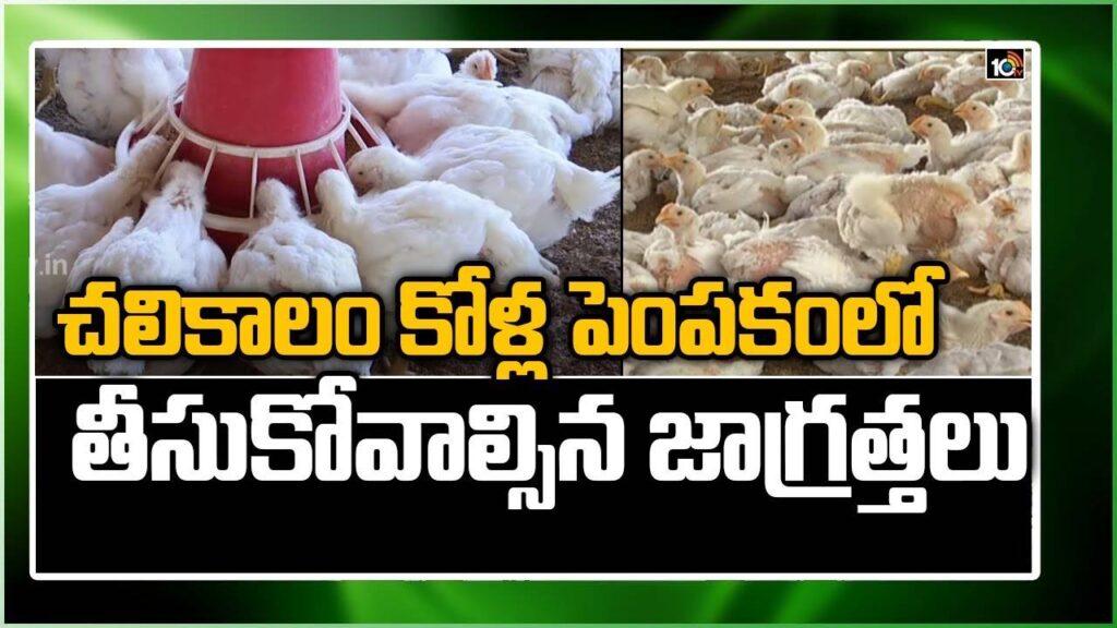 Poultry Farming Nethods