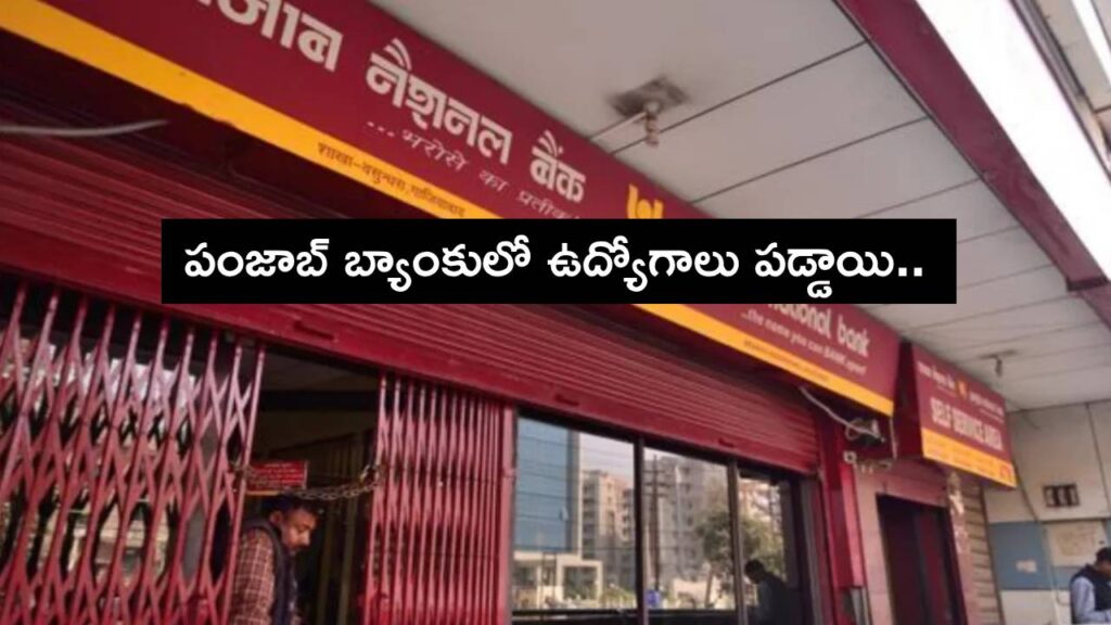 Punjab Bank Recruitment 2025