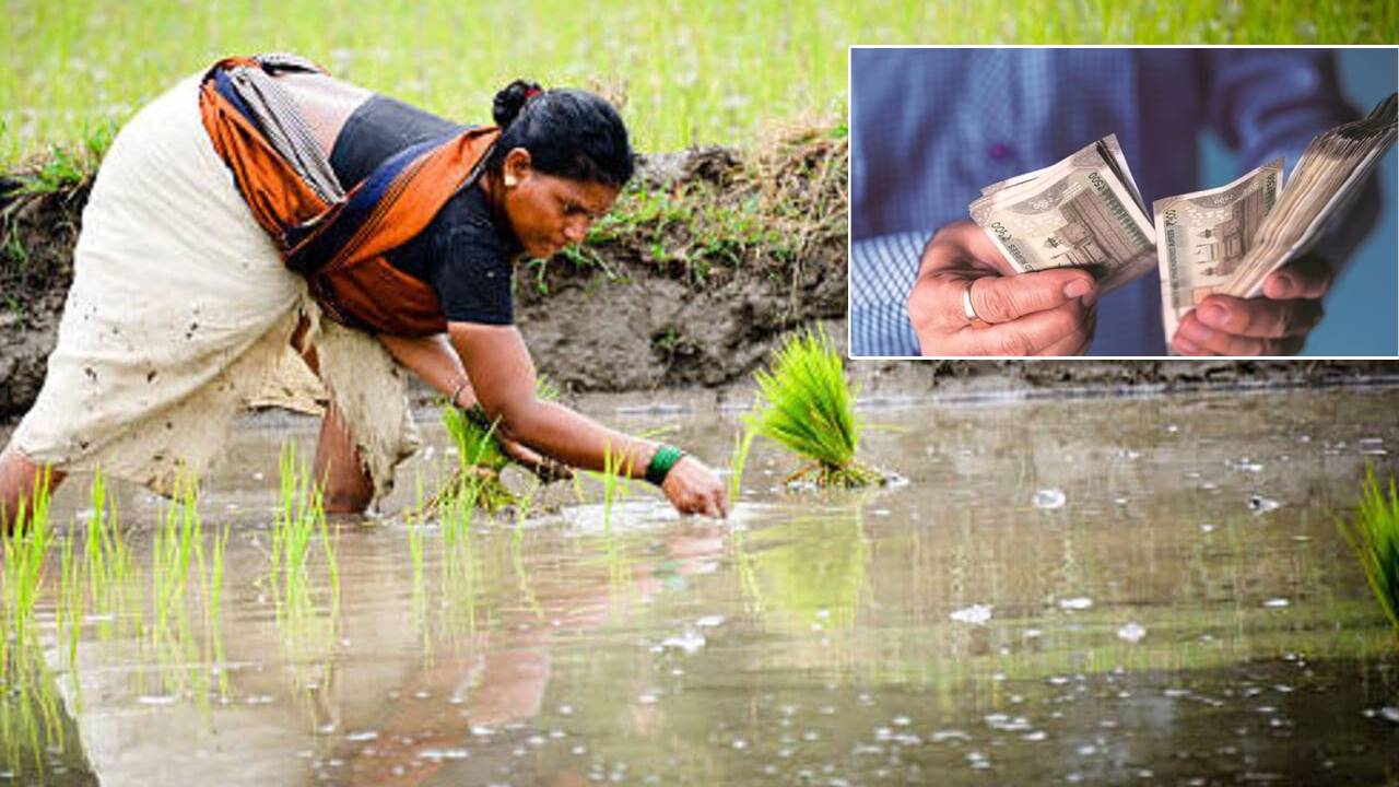 Rythu Bharosa: వీరి ఖాతాల్లోకే ‘రైతు భరోసా’ డబ్బులు.. అర్హత ఉండి నగదు రానివారు ఇలా చేయండి.. Rythu Bharosa: వీరి ఖాతాల్లోకే ‘రైతు భరోసా’ డబ్బులు.. అర్హత ఉండి నగదు రానివారు ఇలా చేయండి..