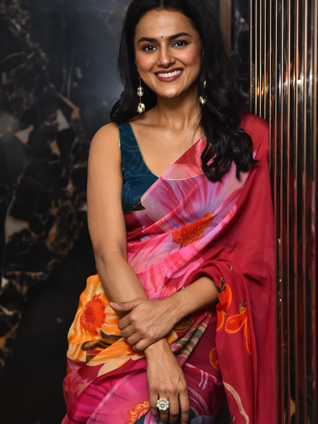 Shraddha Srinath Saree Photos from Daaku Maharaaj Promotions