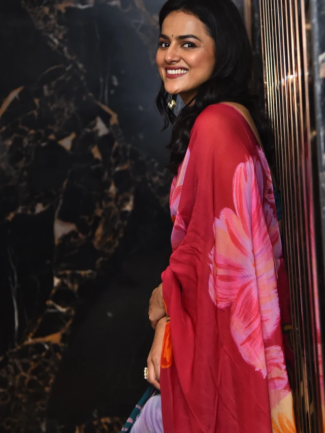 Shraddha Srinath Saree Photos from Daaku Maharaaj Promotions