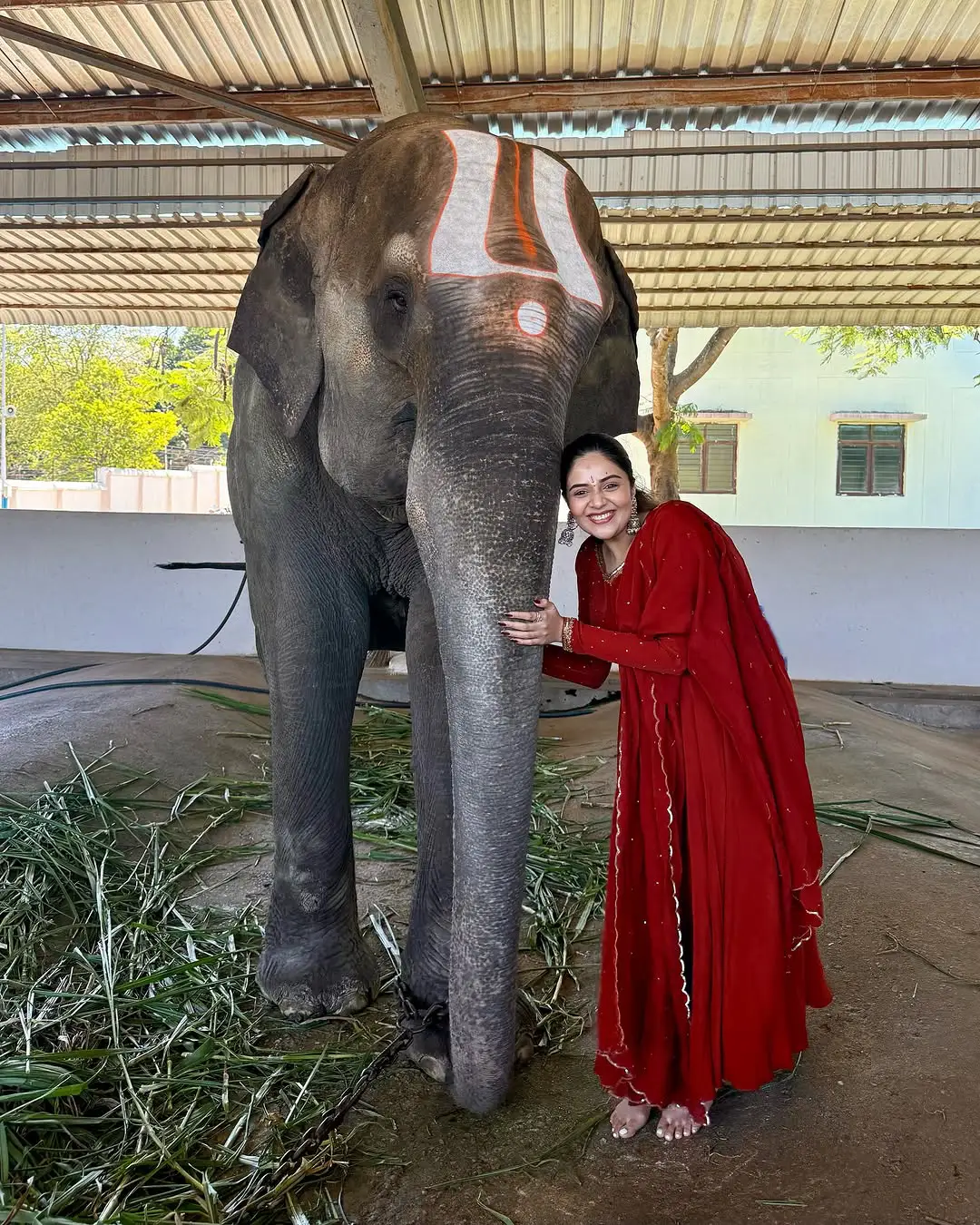 Anchor Sreemukhi Visits Tirumala Venkateswara Swamy Temple