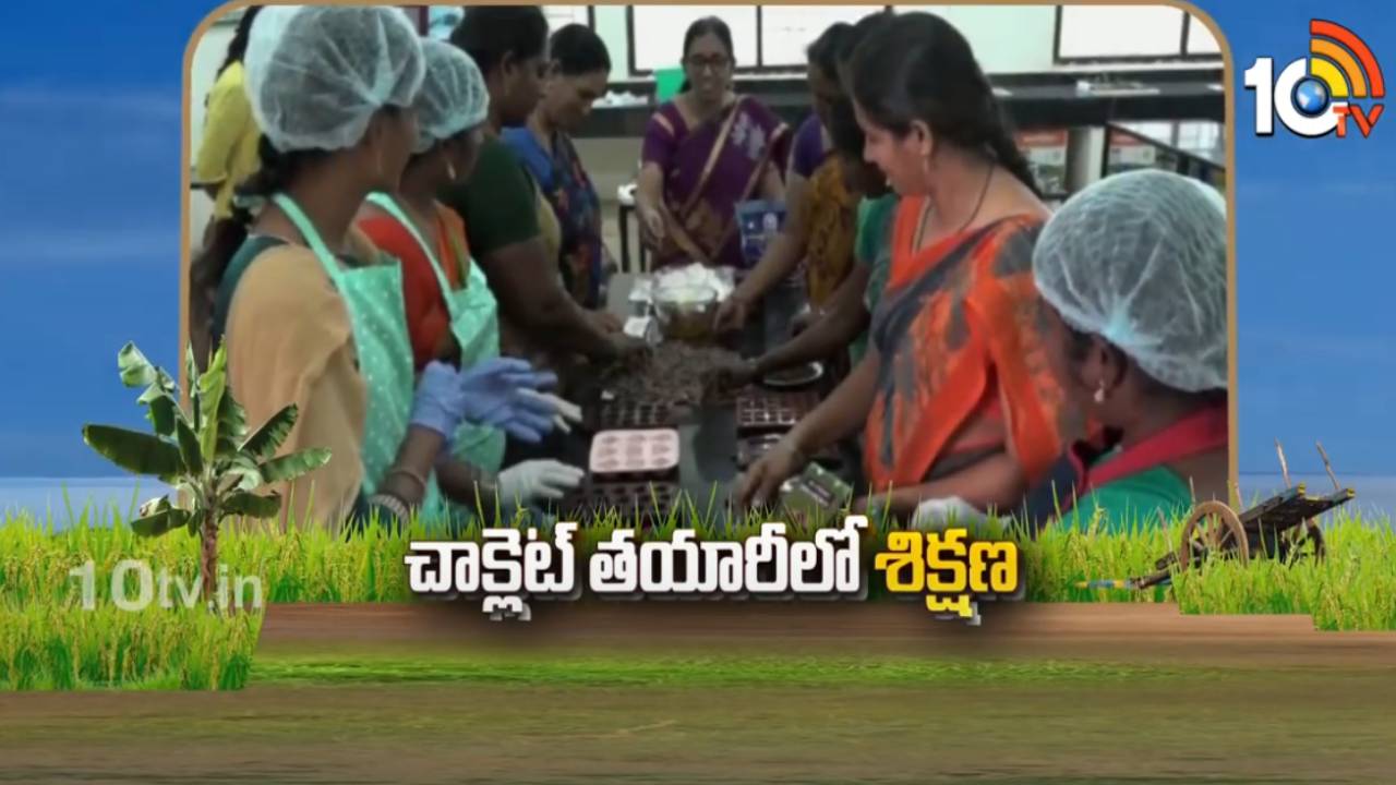 Chocolate Making Business : చాక్లెట్ తయారీలో నిరుద్యోగులు, గృహిణులకు శిక్షణ.. ఇక ఇంట్లోనే సొంత బిజినెస్ పెట్టుకోవచ్చు! Chocolate Making Business : చాక్లెట్ తయారీలో నిరుద్యోగులు, గృహిణులకు శిక్షణ.. ఇక ఇంట్లోనే సొంత బిజినెస్ పెట్టుకోవచ్చు!
