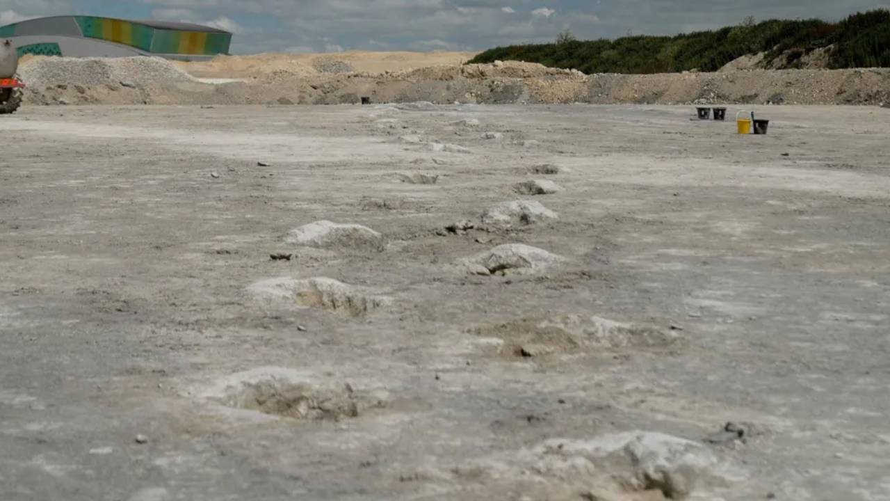 dinosaur footprint 