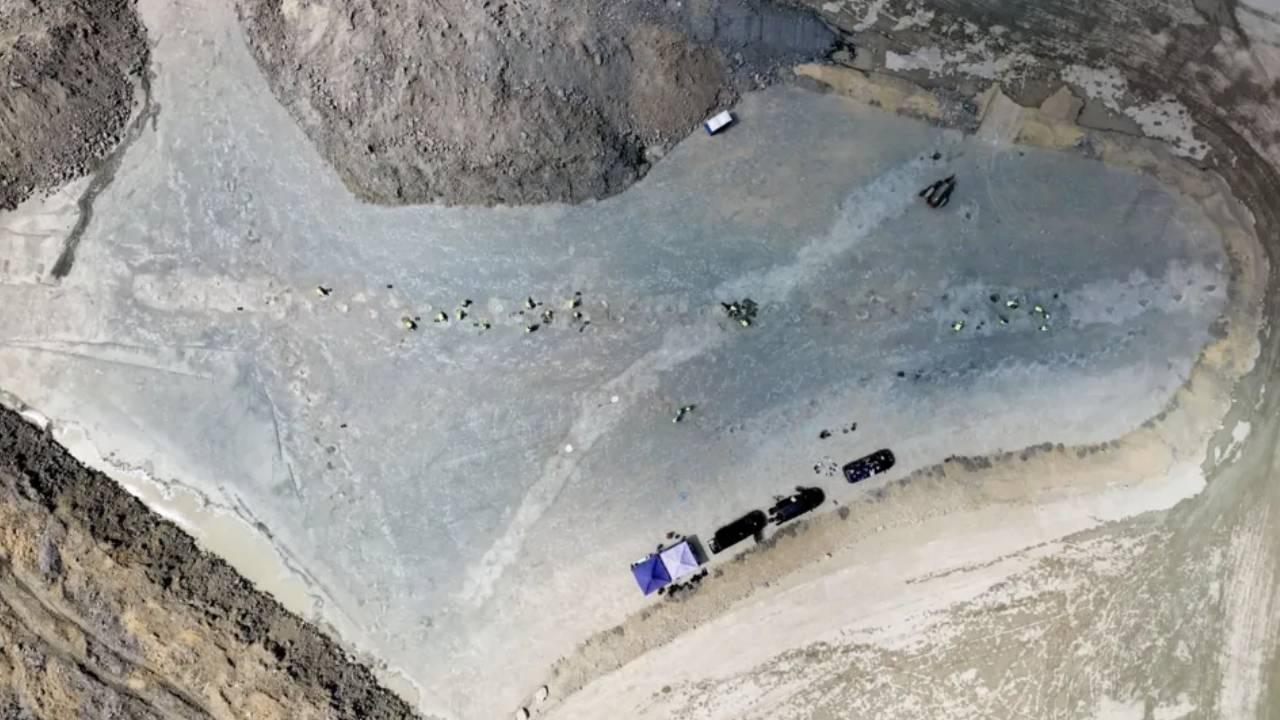dinosaur footprint 