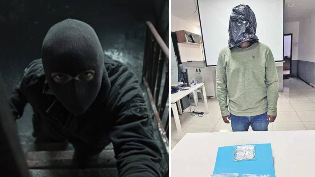 software employee theft