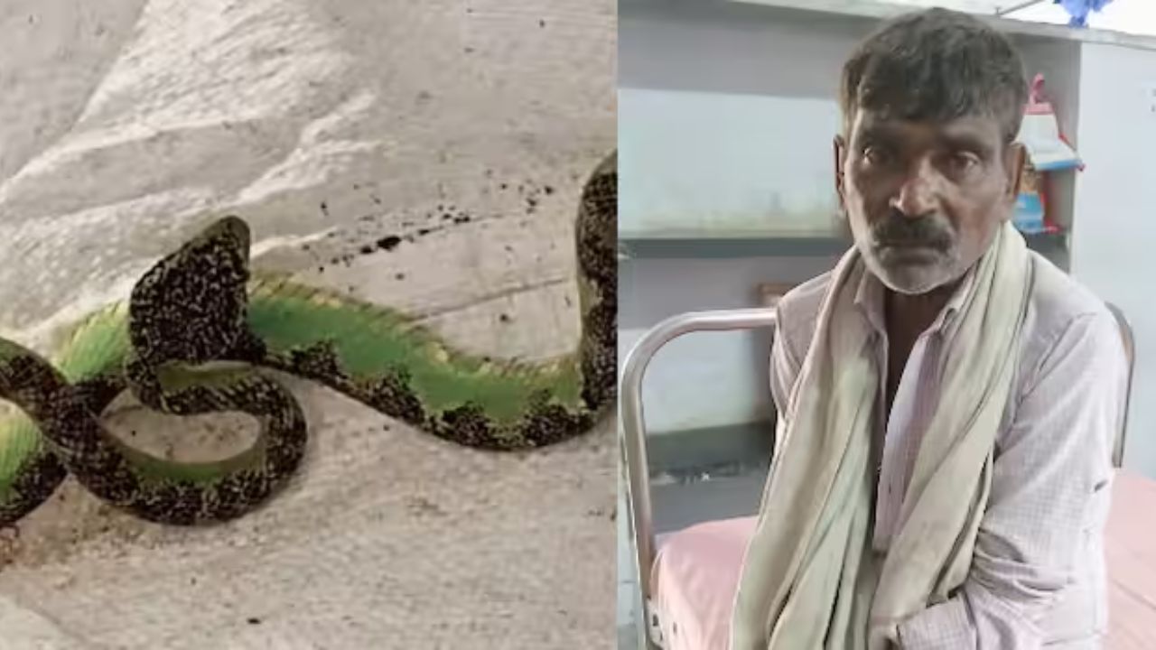 వామ్మో.. ఓ చేతిలో సంచి, మరో చేతిలో పామును పట్టుకుని ఆసుపత్రికి వెళ్లిన వృద్ధుడు.. ఎందుకో తెలుసా? వామ్మో.. ఓ చేతిలో సంచి, మరో చేతిలో పామును పట్టుకుని ఆసుపత్రికి వెళ్లిన వృద్ధుడు.. ఎందుకో తెలుసా?