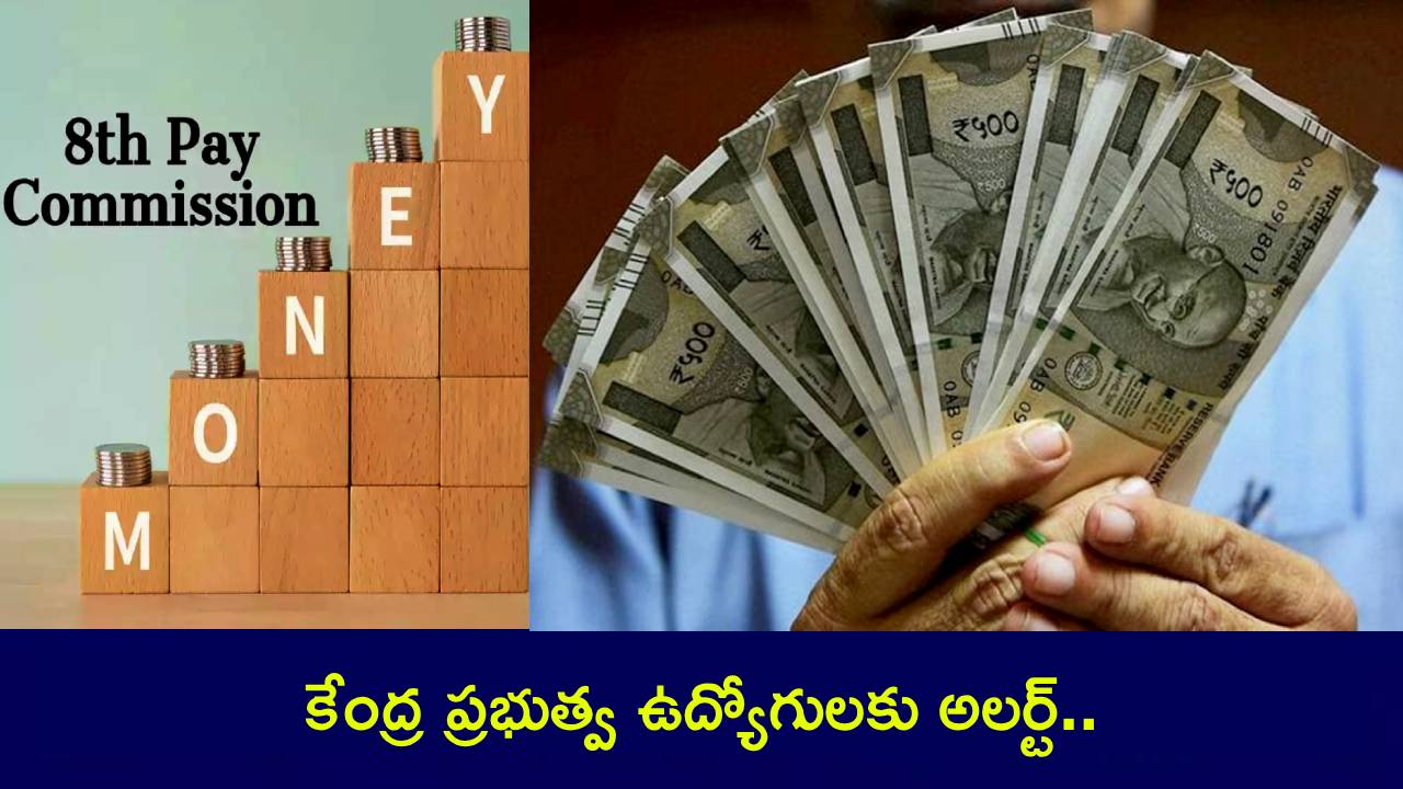 8th Pay Commission : 8వ వేతన సంఘం కీలక అప్డేట్.. కేంద్ర ప్రభుత్వ ఉద్యోగుల జీతాలు ఎంత పెరగనున్నాయంటే? 8th Pay Commission : 8వ వేతన సంఘం కీలక అప్డేట్.. కేంద్ర ప్రభుత్వ ఉద్యోగుల జీతాలు ఎంత పెరగనున్నాయంటే?
