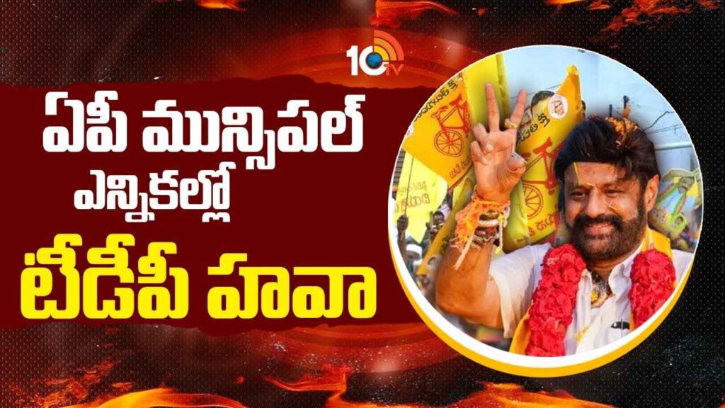 AP Municipality Elections