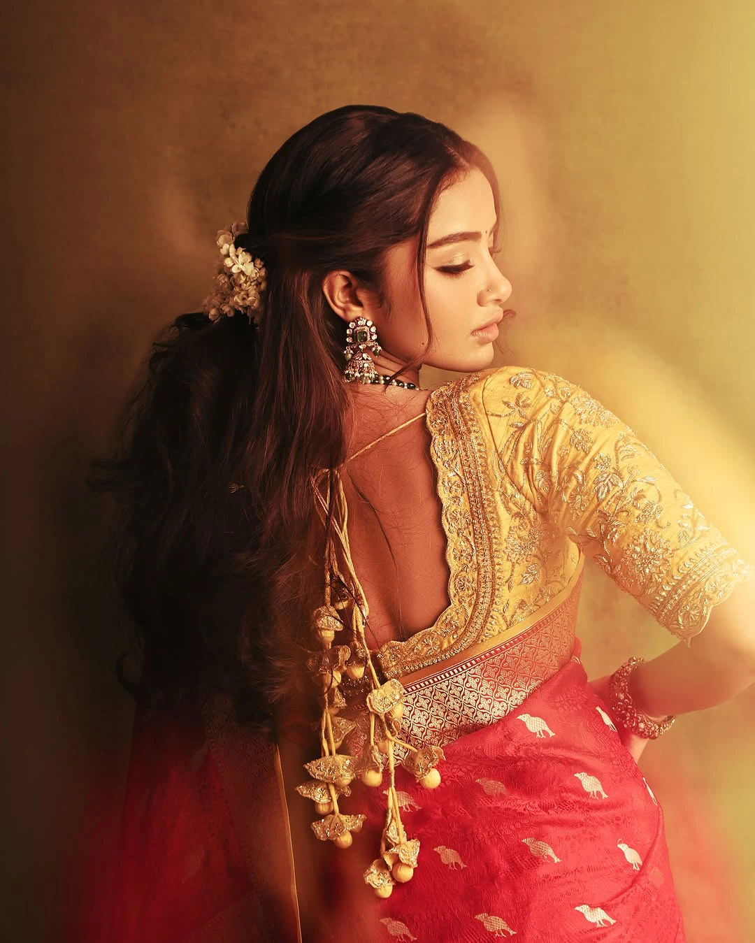 Anupama Parameswaran Amazing Looks in Saree