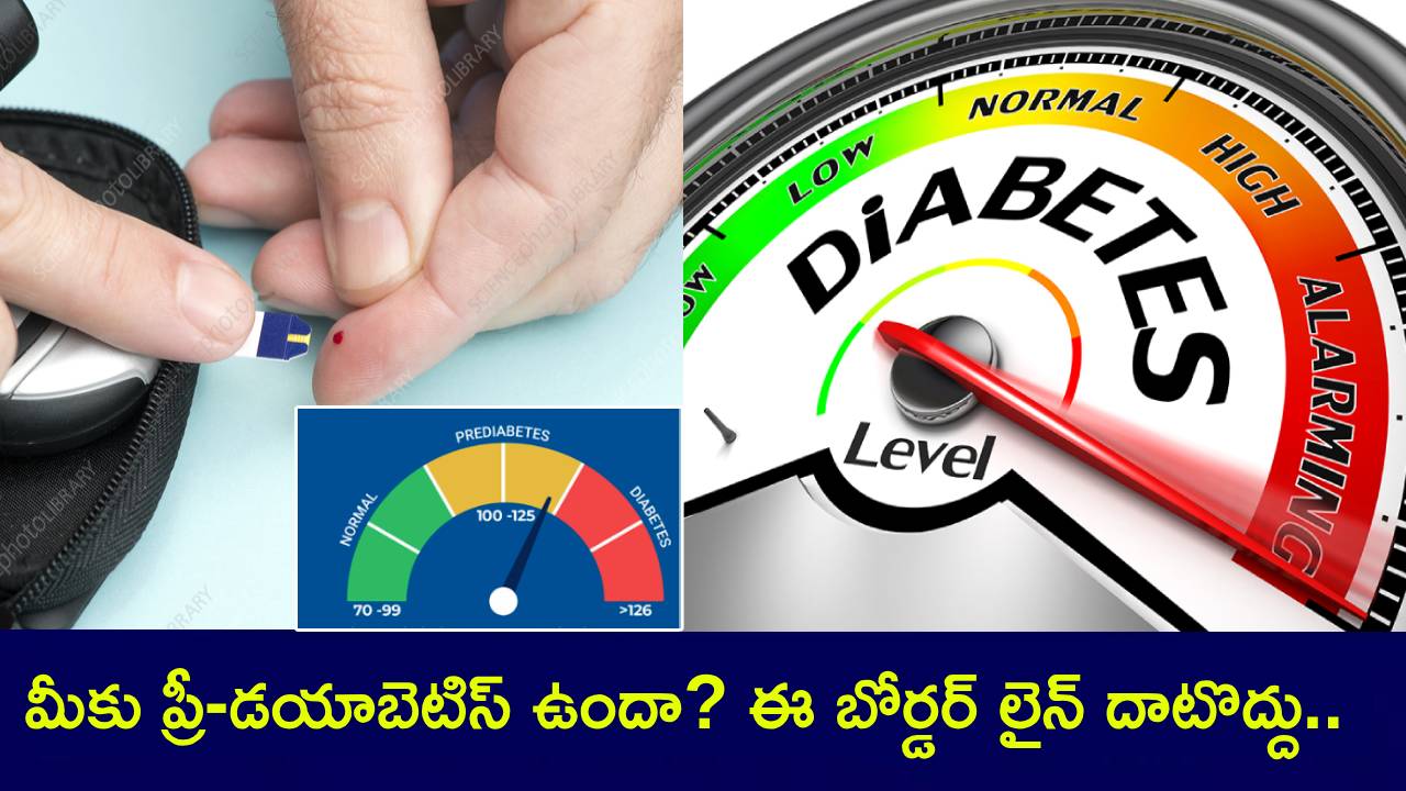 Diabetic Risk : మీకు ప్రీ-డయాబెటిస్ ఉందా? ఈ విషయాలను తప్పక గుర్తుపెట్టుకోండి.. బోర్డర్ లైన్ దాటితే అంతే సంగతులు..! Diabetic Risk : మీకు ప్రీ-డయాబెటిస్ ఉందా? ఈ విషయాలను తప్పక గుర్తుపెట్టుకోండి.. బోర్డర్ లైన్ దాటితే అంతే సంగతులు..!