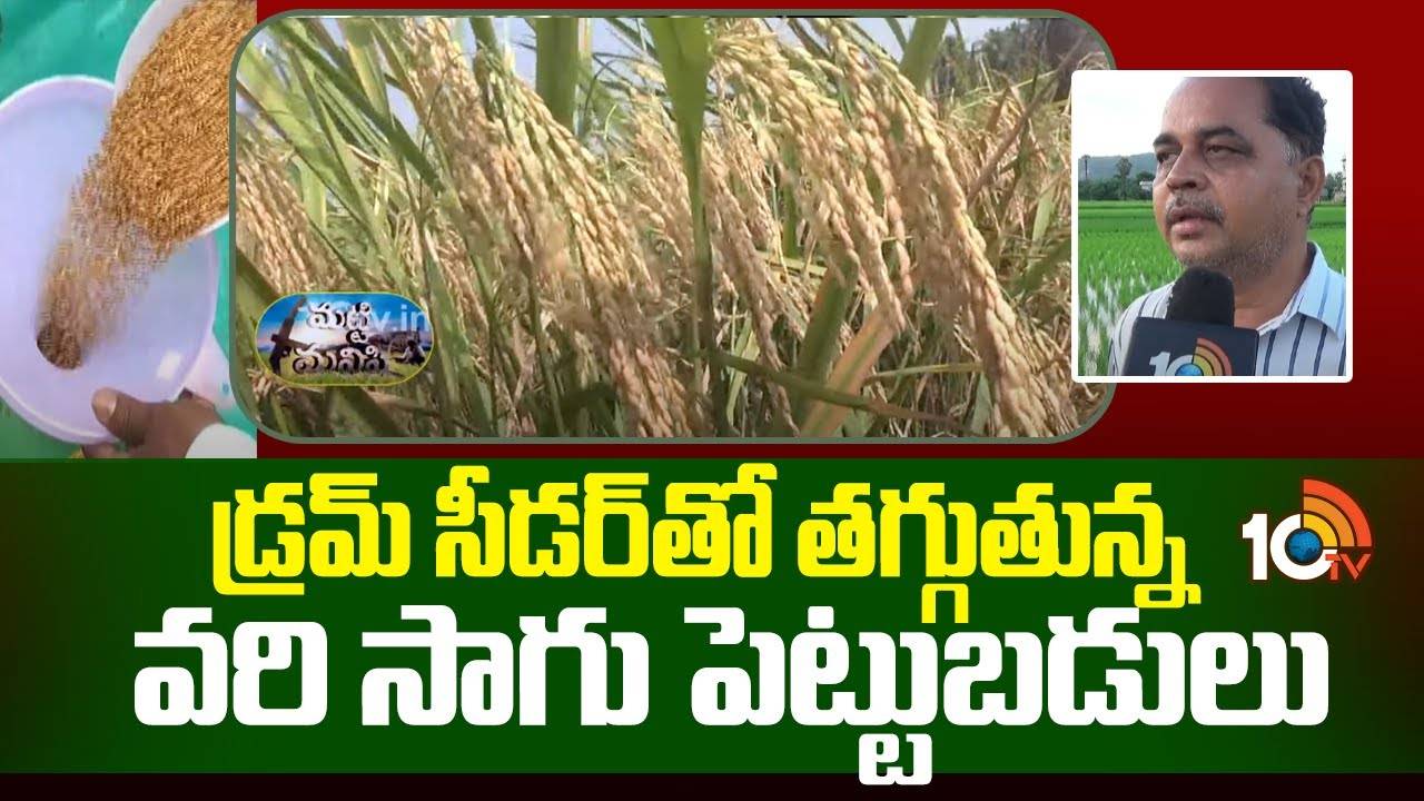 Paddy Cultivation : నారు, నాట్లు వేయనక్కర్లేదు.. ‘డ్రమ్ సీడర్’తో తక్కువ పెట్టుబడి.. అధిక లాభాలు! Paddy Cultivation : నారు, నాట్లు వేయనక్కర్లేదు.. ‘డ్రమ్ సీడర్’తో తక్కువ పెట్టుబడి.. అధిక లాభాలు!