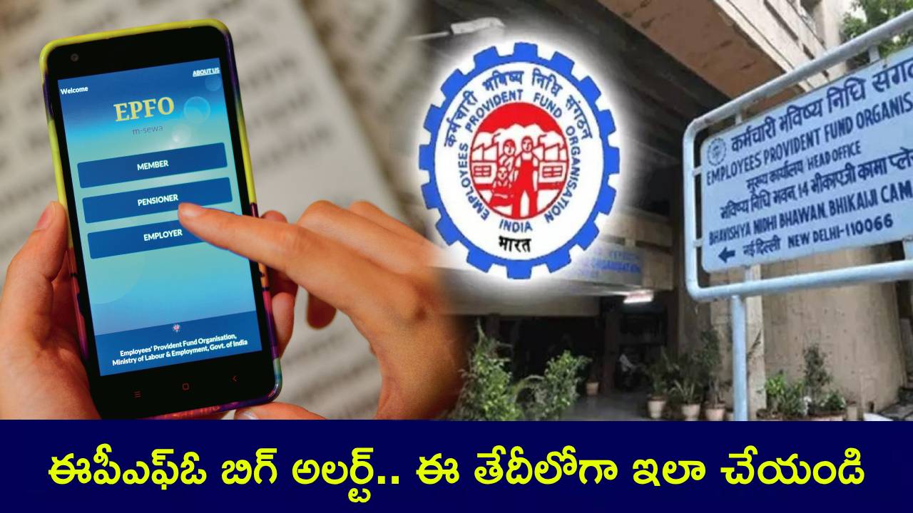 EPFO Alert : ఈపీఎఫ్ఓ బిగ్ అలర్ట్.. ఈ తేదీలోగా మీ UAN యాక్టివేట్ చేసుకోండి.. లేదంటే ఈఎల్ఐ స్కీమ్ బెనిఫిట్స్ పొందలేరు.. ఇదిగో సింపుల్ ప్రాసెస్..! EPFO Alert : ఈపీఎఫ్ఓ బిగ్ అలర్ట్.. ఈ తేదీలోగా మీ UAN యాక్టివేట్ చేసుకోండి.. లేదంటే ఈఎల్ఐ స్కీమ్ బెనిఫిట్స్ పొందలేరు.. ఇదిగో సింపుల్ ప్రాసెస్..!